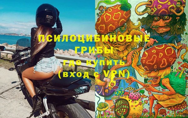 молекула духа Богородск