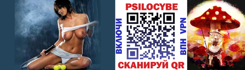 Купить где  Вилючинск  Псилоцибиновые грибы Cubensis 